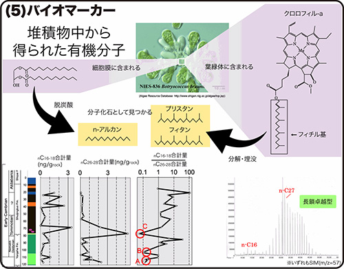 biomarker